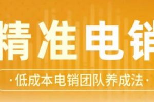 张烜搏《精准电销》电话销售技巧，低成本电销团队养成法